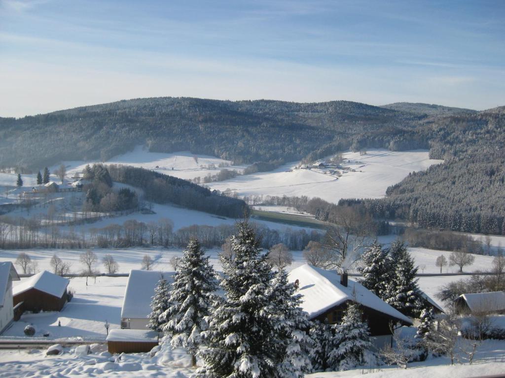 Ferienwohnungen Grill Schönberg Kamer foto