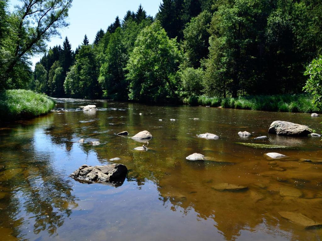 Ferienwohnungen Grill Schönberg Kamer foto